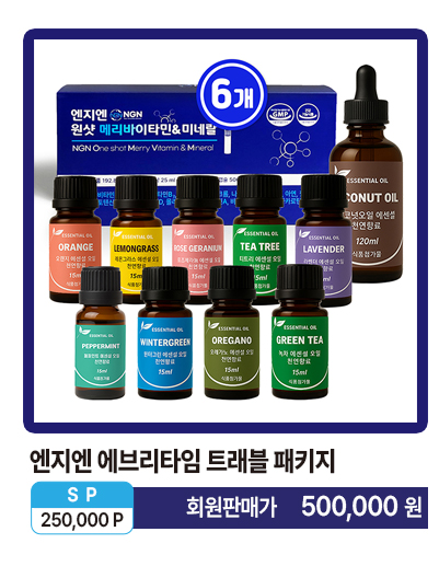 에브리타임 트래블 패키지